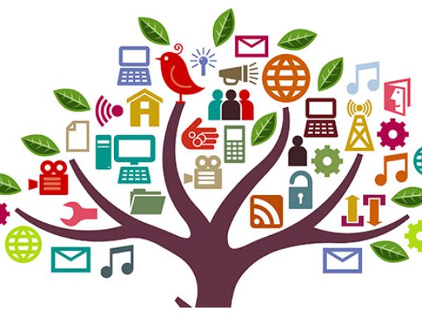 Quản trị đăng tin, sửa bài cho website