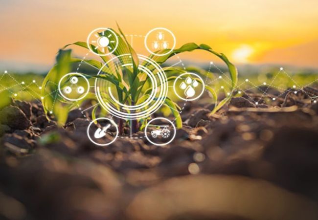 Ứng dụng AI hỗ trợ nông nghiệp như thế nào ?