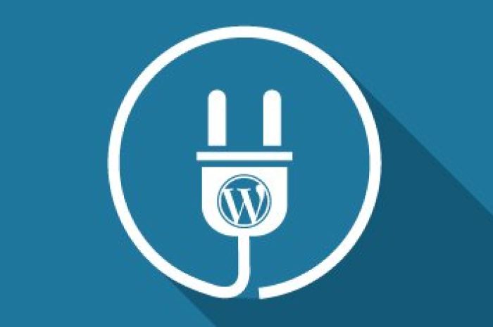 PLUGIN CỦA WORDPRESS LÀ GÌ ?