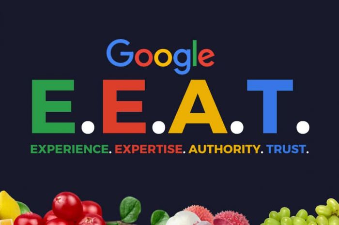 Chiến thuật E-E-A-T đẩy mạnh GEO web lên top Google AI Overviews