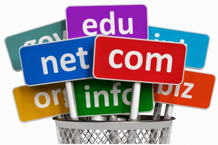 Nên lựa chọn tên miền nào dễ cho SEO web lên top Google tại Đồng Tháp?